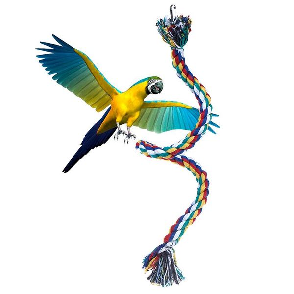 other bird supplies 50cm rope braided pet parrot chew perch coil cage cockatiel toy birds training accessories
other bird supplies 50cm rope braided pet parrot chew perch coil cage cockatiel toy birds training accessories