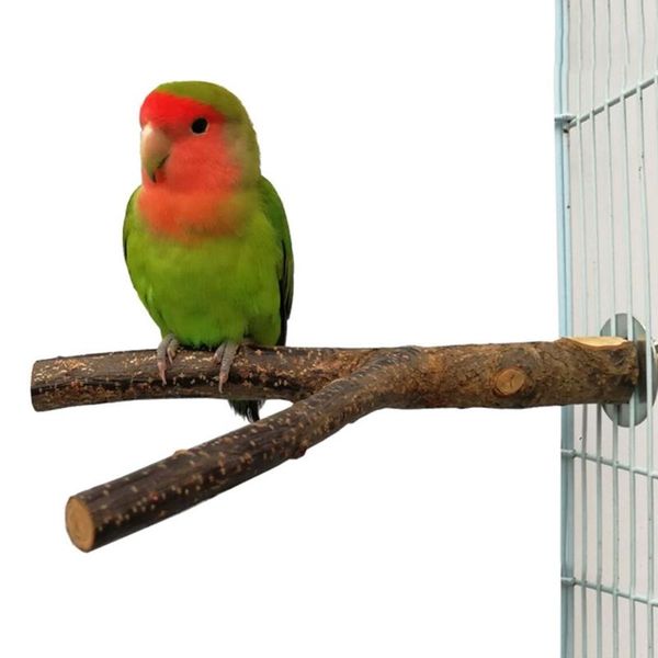 other bird supplies parrot perches wooden fork stand rack birds mouth grinding claw rest holder toy pet
other bird supplies parrot perches wooden fork stand rack birds mouth grinding claw rest holder toy pet