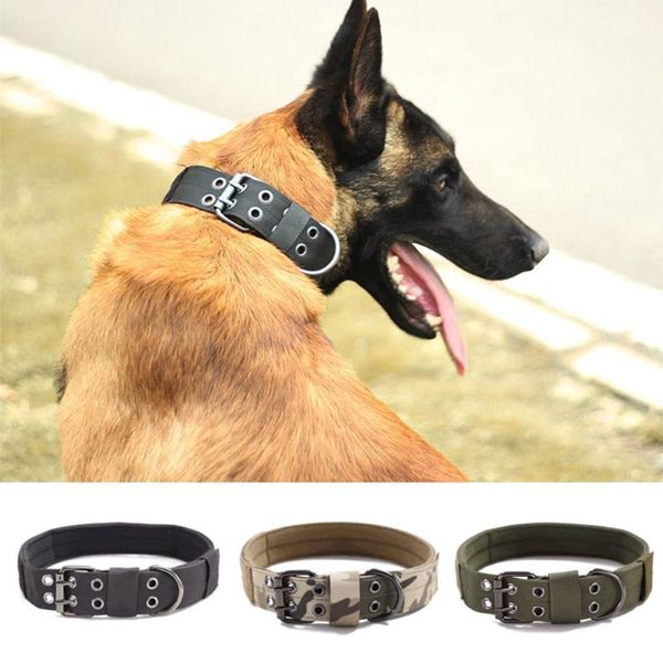nylon wear-resistant dog collar tactical training adjustable collars for medium large dogs shepherd doberman pinscher
nylon wear-resistant dog collar tactical training adjustable collars for medium large dogs shepherd doberman pinscher