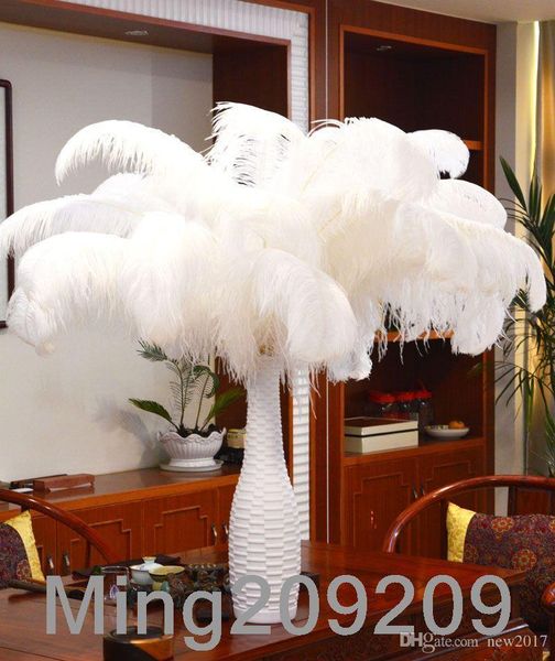 party decoration 50pcs/lot 18-20 inch(45-50cm) white ostrich feather plumes for wedding centerpiece event decor festive
party decoration 50pcs/lot 18-20 inch(45-50cm) white ostrich feather plumes for wedding centerpiece event decor festive