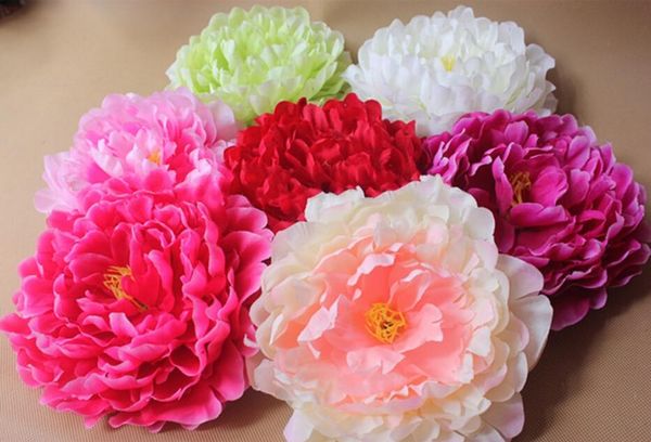 18cm artificial silk peony flowers head wedding party arrangements, fabric hair hat clothes wrist dress decoration,30pcs
18cm artificial silk peony flowers head wedding party arrangements, fabric hair hat clothes wrist dress decoration,30pcs