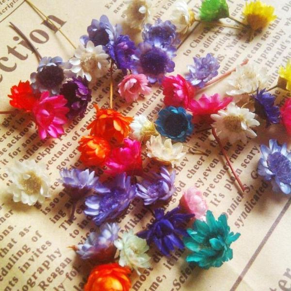 1g multi-color dried flower head daizy glass cover nail art filling epoxy hand craft
1g multi-color dried flower head daizy glass cover nail art filling epoxy hand craft