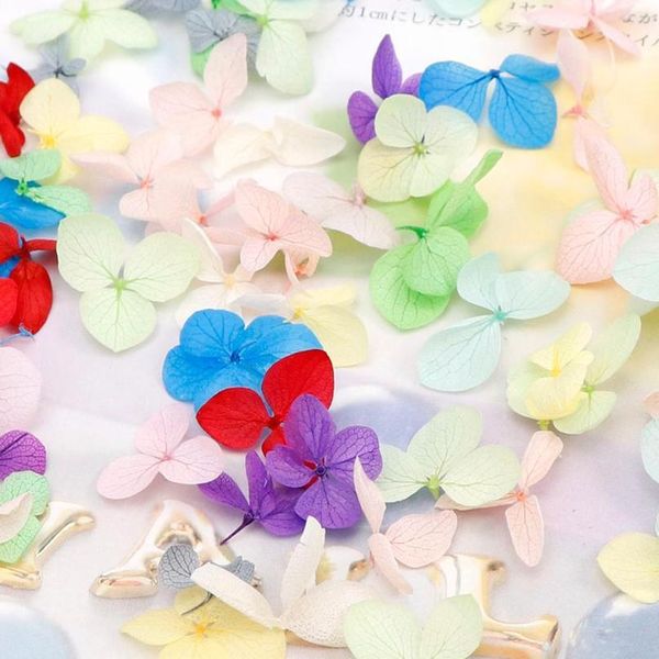 10/50/100 pcs dried flowers filling scrapbooking materials jewelry making pendants earrings crafts accessories 10/50 qylfpy
10/50/100 pcs dried flowers filling scrapbooking materials jewelry making pendants earrings crafts accessories 10/50 qylfpy