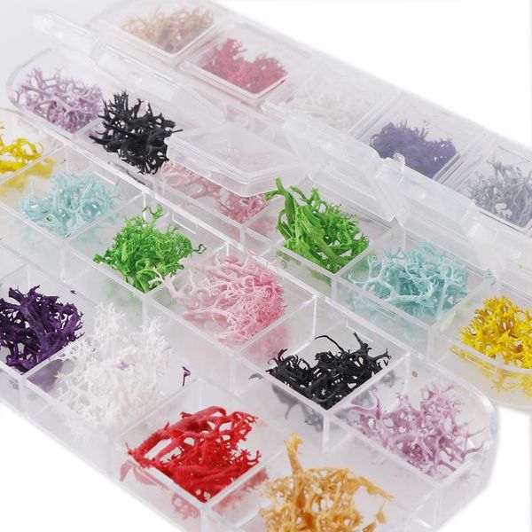12 colors/box dried coral flower dyeing plants for epoxy resin pendant necklace jewelry making craft diy acc jllvrd
12 colors/box dried coral flower dyeing plants for epoxy resin pendant necklace jewelry making craft diy acc jllvrd