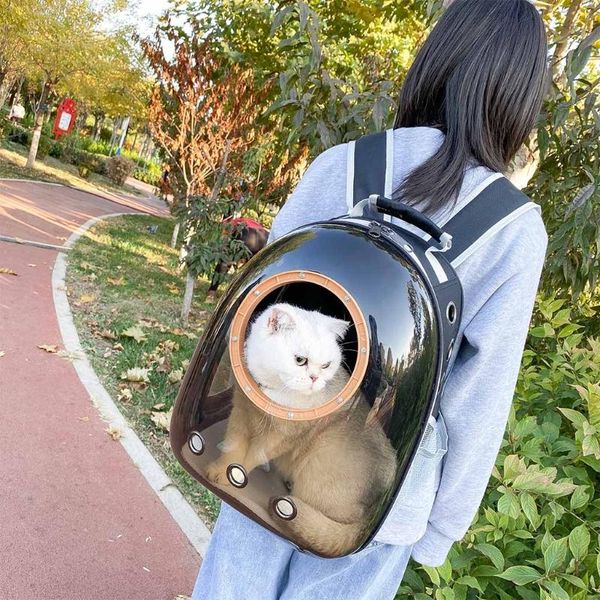 cat backpack carriers pet bubble backpack carriers for cats puppy dogs and birds ventilate transparent carrier
cat backpack carriers pet bubble backpack carriers for cats puppy dogs and birds ventilate transparent carrier