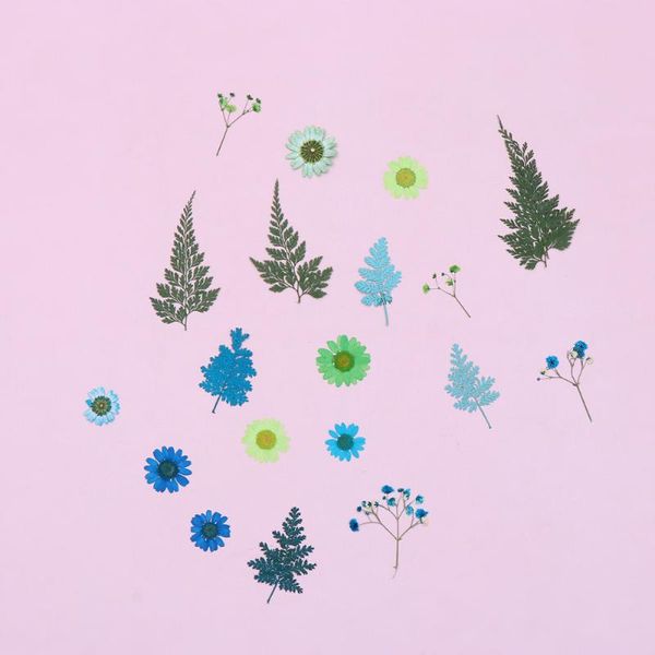 2 sheets/total 20pcs diy pressed flowers sticker dried leaf flowers plants patches for crafts making (blue and green)
2 sheets/total 20pcs diy pressed flowers sticker dried leaf flowers plants patches for crafts making (blue and green)