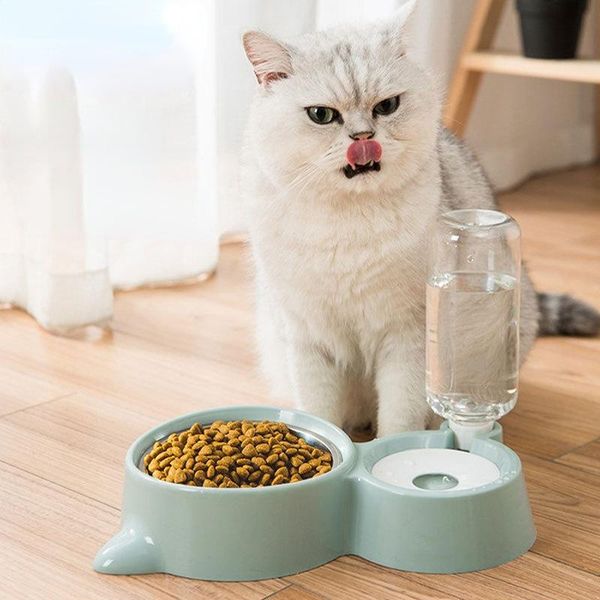 cat bowls & feeders pet bowl anti-tipping automatic drinker non-wet mouth stainless steel double food dog supplies
cat bowls & feeders pet bowl anti-tipping automatic drinker non-wet mouth stainless steel double food dog supplies