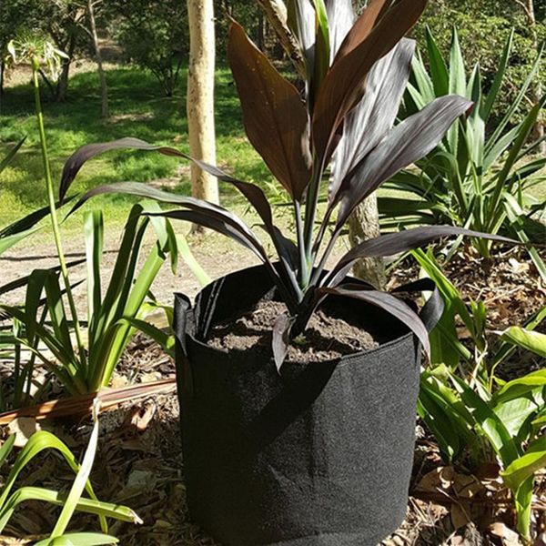 planters & pots 1/5 gallon vegetable flower pot planter no handle/with handle garden plant seeding grow bags diy growing bag
planters & pots 1/5 gallon vegetable flower pot planter no handle/with handle garden plant seeding grow bags diy growing bag