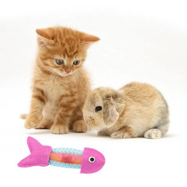 cat toys funny teasing durable colorful non woven hose spring canvas fish scratch-resistant interaction drop
cat toys funny teasing durable colorful non woven hose spring canvas fish scratch-resistant interaction drop