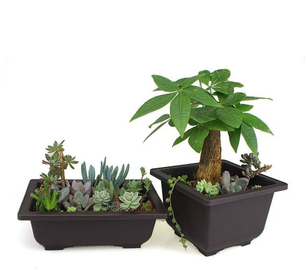 planters & pots flower pot + tray balcony square bonsai bowl nursery basin planter imitation plastic rectangle
planters & pots flower pot + tray balcony square bonsai bowl nursery basin planter imitation plastic rectangle