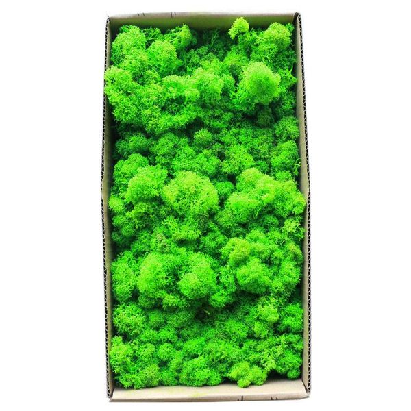 decorative flowers & wreaths 1500g simulation plants eternal life moss /garden home decor wall diy flower material mini garden micro landsca
decorative flowers & wreaths 1500g simulation plants eternal life moss /garden home decor wall diy flower material mini garden micro landsca