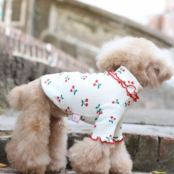 dog apparel pets dogs supplies cute straberry printing clothes small puppy chihuahua maltese poodle wear
dog apparel pets dogs supplies cute straberry printing clothes small puppy chihuahua maltese poodle wear