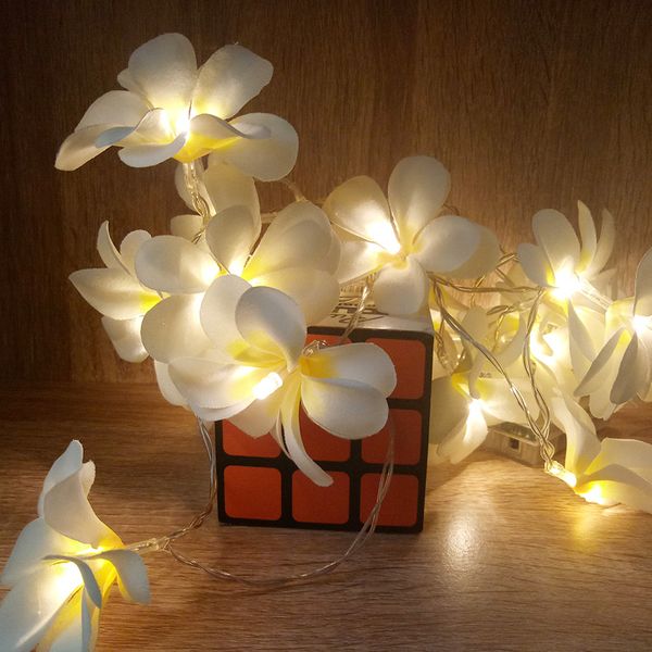 frangipani garland 5 meter 40 leds string light for event party decorationvase floral light decorativenew year flower garland
frangipani garland 5 meter 40 leds string light for event party decorationvase floral light decorativenew year flower garland