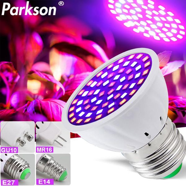 220v led grow light phytolamp full spectrum led plant growth lamp grow bulb for flower seedling plant greenhouse hydroponic
220v led grow light phytolamp full spectrum led plant growth lamp grow bulb for flower seedling plant greenhouse hydroponic