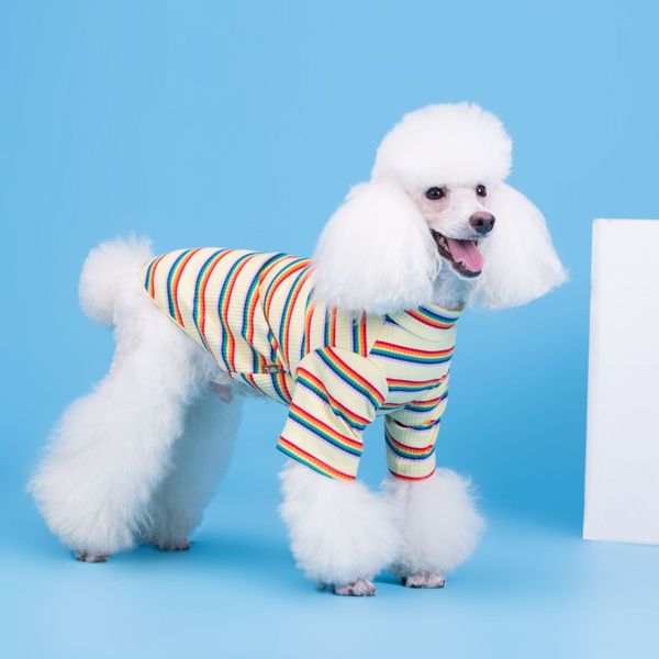 cross-border korean version of the autumn new dog pit strip colorful striped bottom t-shirt tedi dog pet clothing sale
cross-border korean version of the autumn new dog pit strip colorful striped bottom t-shirt tedi dog pet clothing sale