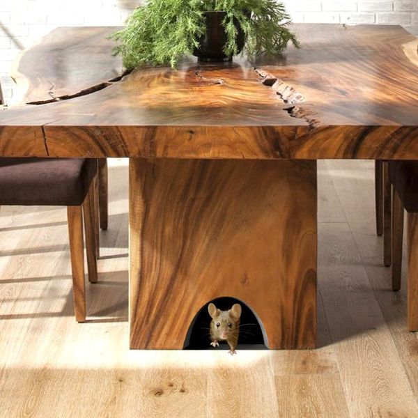 wall stickers realistic 3d mouse sticker in a hole decal unique indoor and outdoor decoration 2021
wall stickers realistic 3d mouse sticker in a hole decal unique indoor and outdoor decoration 2021