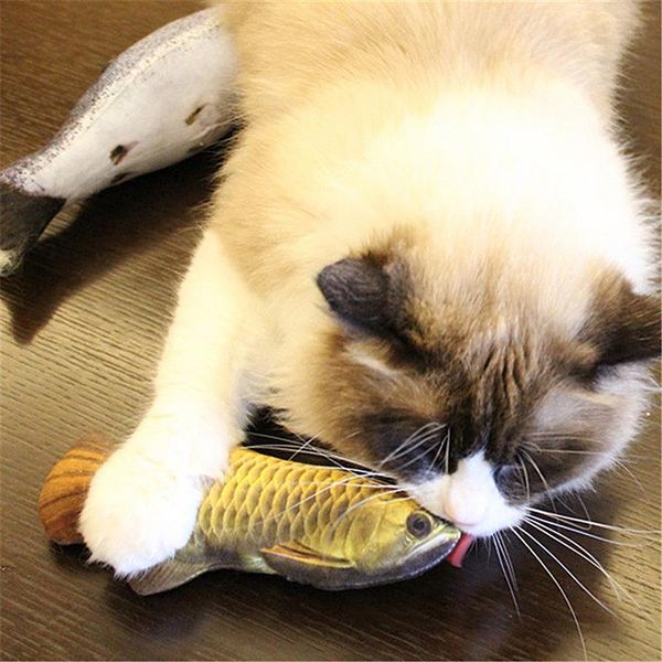 cat toys plush 3d carp fish-shaped toy chewing mint fish filled pillow doll vivid cute simulation interactive training
cat toys plush 3d carp fish-shaped toy chewing mint fish filled pillow doll vivid cute simulation interactive training