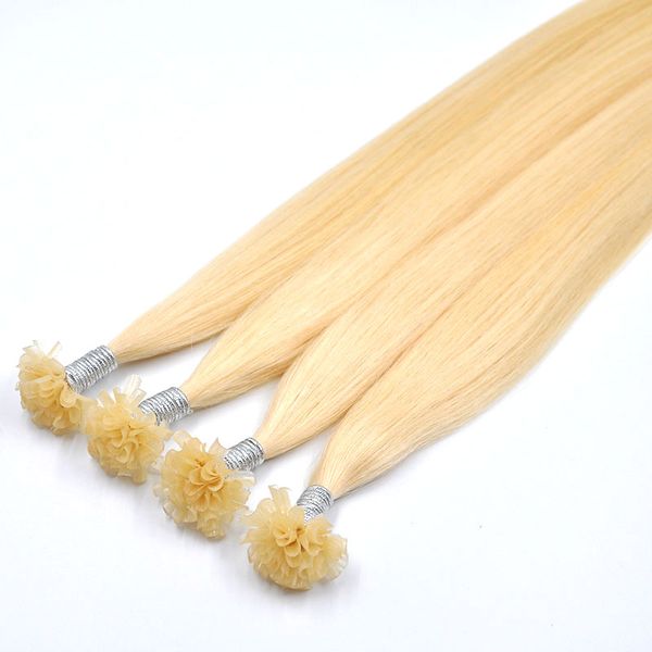 nail tip human hair extensions malaysian virgin hair keratin u remy bleached blonde color 60# 18'' 20'', Black
nail tip human hair extensions malaysian virgin hair keratin u remy bleached blonde color 60# 18'' 20'', Black