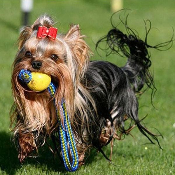 dog toys & chews 7/9 cm outdoor training fetch bite chew interactive rope ball pet supply durable toy play
dog toys & chews 7/9 cm outdoor training fetch bite chew interactive rope ball pet supply durable toy play