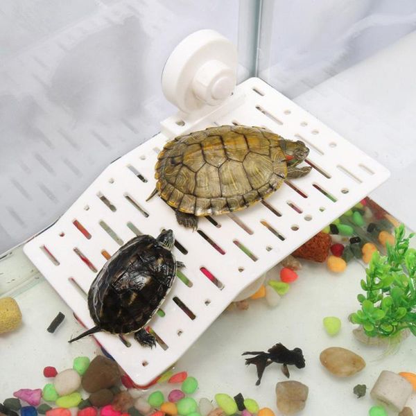 decorations reptiles drying platform floating island with sucking cup for aquarium fish bowl decoration
decorations reptiles drying platform floating island with sucking cup for aquarium fish bowl decoration