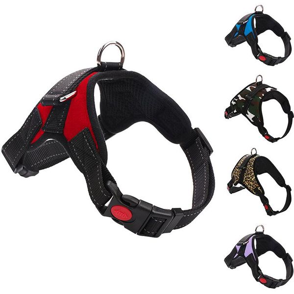 panic buying activity ajustable pet chest collar dog neck strap vest harnesses pet back traction belt walking lead leash strap
panic buying activity ajustable pet chest collar dog neck strap vest harnesses pet back traction belt walking lead leash strap