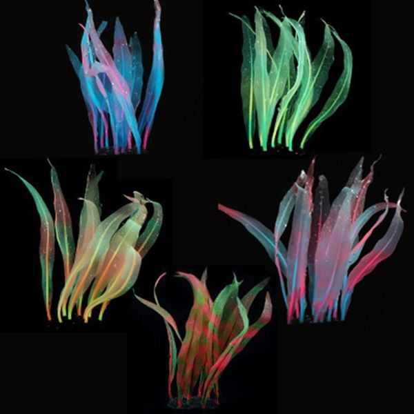 decorations nontoxic and odorless aquarium fish tank ornament artificial silicone kelp decorative
decorations nontoxic and odorless aquarium fish tank ornament artificial silicone kelp decorative