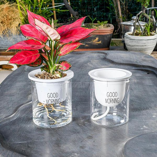 planters & pots transparent hydroponic flower pot automatic water absorption plant home office desk decoration simple lazy
planters & pots transparent hydroponic flower pot automatic water absorption plant home office desk decoration simple lazy