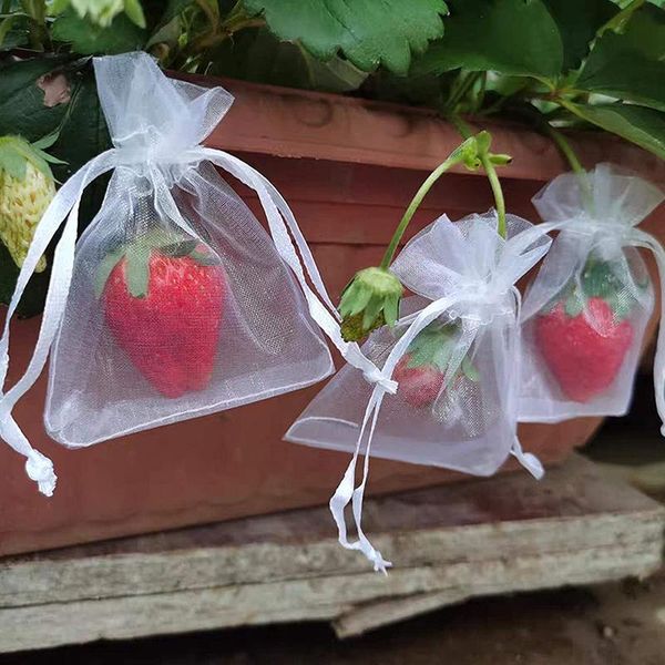 planters & pots 100pcs fruit protection bags nylon grow anti bird drawstring grape barrier bag reusable agriculture pest control tool
planters & pots 100pcs fruit protection bags nylon grow anti bird drawstring grape barrier bag reusable agriculture pest control tool