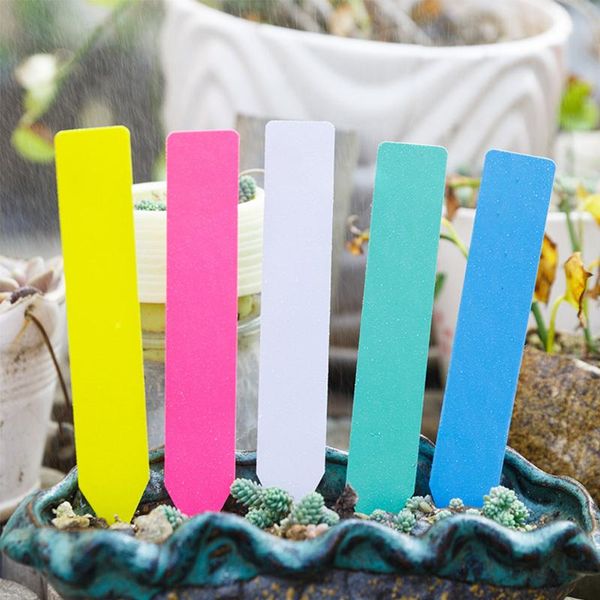 other garden supplies 100pcs 5 sizes pvc plastic arrow planting labels waterproof tags gardening nursery pot flower seedlings sign mark
other garden supplies 100pcs 5 sizes pvc plastic arrow planting labels waterproof tags gardening nursery pot flower seedlings sign mark