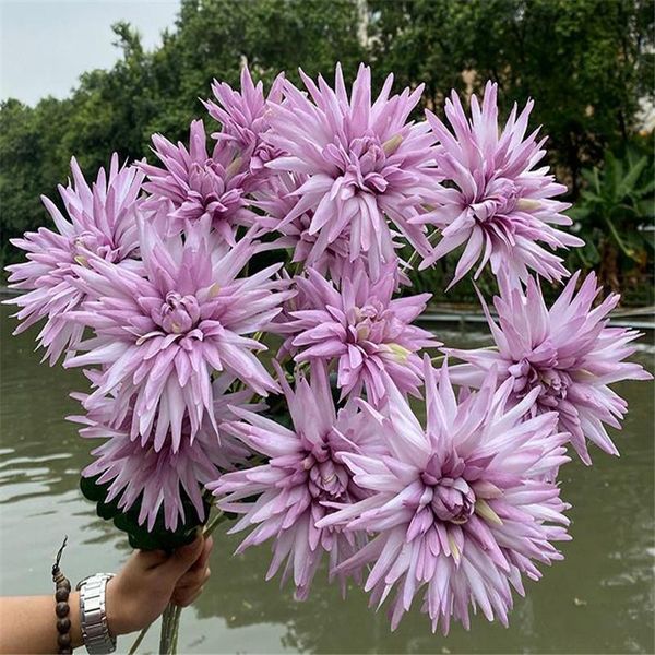 decorative flowers & wreaths 7p fake firework chrysanthemum (3 heads/piece) 29.13" legth simulation gerbera for wedding home artificial
decorative flowers & wreaths 7p fake firework chrysanthemum (3 heads/piece) 29.13" legth simulation gerbera for wedding home artificial