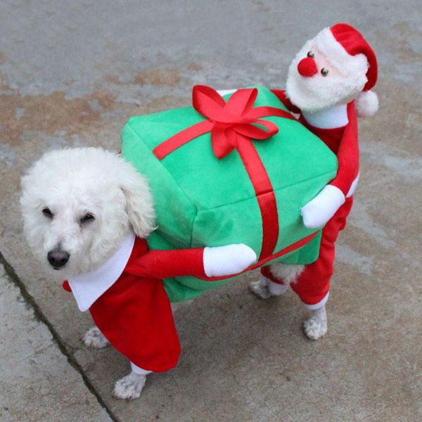 dog apparel fashion christmas gift box winter clothes pet clothing for small dogs santa claus costume outwear coat
dog apparel fashion christmas gift box winter clothes pet clothing for small dogs santa claus costume outwear coat