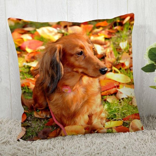 pillow case the dachshund cover customize pillowcase modern home decorative for living room 45x45cm,40x40cm a2021.4.29
pillow case the dachshund cover customize pillowcase modern home decorative for living room 45x45cm,40x40cm a2021.4.29