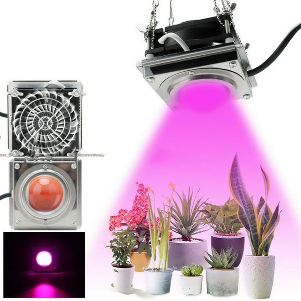 led grow light 4000k full spectrum led growing lamp for indoor veg seed plant growth lighting garden plant growth lighting
led grow light 4000k full spectrum led growing lamp for indoor veg seed plant growth lighting garden plant growth lighting
