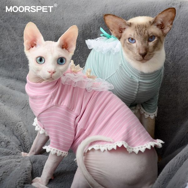 moorspet cat cloth spring and summer thin kitten cute pet bottoming garfield anti hair loss
moorspet cat cloth spring and summer thin kitten cute pet bottoming garfield anti hair loss