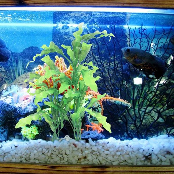 decorations aquarium artificial plants natural ornaments diy realistic for fish tank landscape decoration
decorations aquarium artificial plants natural ornaments diy realistic for fish tank landscape decoration