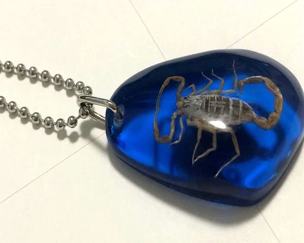 yqtdmy 12 pcs vogue real scorpion king blue back 70 cm stainless steel chain pendant, Silver
yqtdmy 12 pcs vogue real scorpion king blue back 70 cm stainless steel chain pendant, Silver
