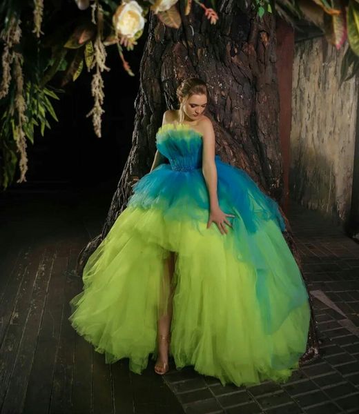 fancy hi-lo color matching prom dresses off shoulder strapless evening dress custom made sleeveless floor length princess party gown, Black;red
fancy hi-lo color matching prom dresses off shoulder strapless evening dress custom made sleeveless floor length princess party gown, Black;red