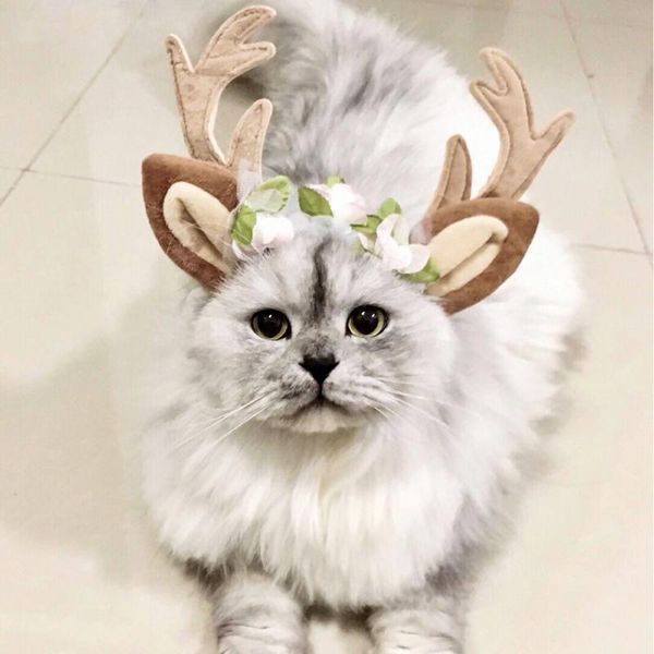 dog collars & leashes 1 pcs christmas pet hat cat headwear party costume hair accessories antler headband s/m/l
dog collars & leashes 1 pcs christmas pet hat cat headwear party costume hair accessories antler headband s/m/l