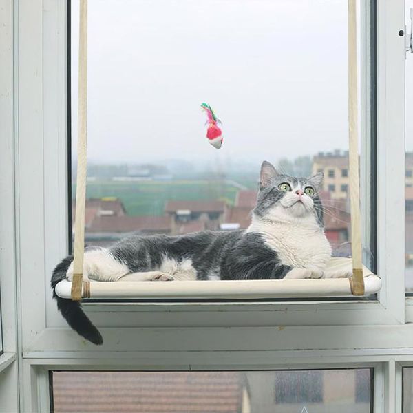 cat beds & furniture comfortable hanging hammock window sunny crucible perch play sleep bed with suction cup
cat beds & furniture comfortable hanging hammock window sunny crucible perch play sleep bed with suction cup