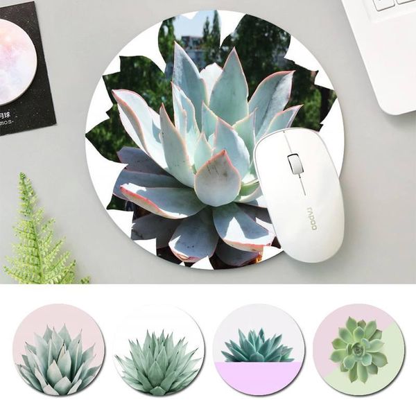 mouse pads & wrist rests designer succulent splendour office mat round size rubber pad gaming player deskcomputer laptop
mouse pads & wrist rests designer succulent splendour office mat round size rubber pad gaming player deskcomputer laptop
