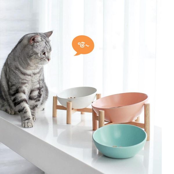 cat bowls & feeders ceramic double bowl dog pet feeding water puppy feeder product supplies and for dogs
cat bowls & feeders ceramic double bowl dog pet feeding water puppy feeder product supplies and for dogs