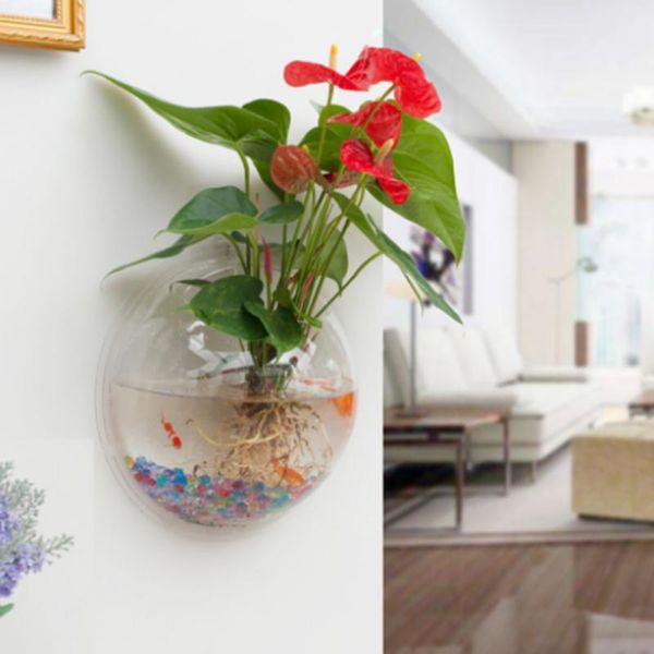 aquariums mount fish tank wall-hanging bowl decoration planter pet supplies acrylic aquarium
aquariums mount fish tank wall-hanging bowl decoration planter pet supplies acrylic aquarium