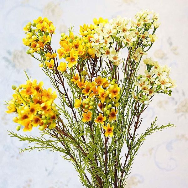 luxury long stem australian lamei flower branch silk artificial flowers for wedding party fall decoration flores artificiales
luxury long stem australian lamei flower branch silk artificial flowers for wedding party fall decoration flores artificiales