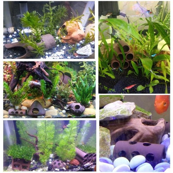 fish tank cave aquarium shelter ceramic shrimp decoration hide ornament breeding w0yc decorations
fish tank cave aquarium shelter ceramic shrimp decoration hide ornament breeding w0yc decorations
