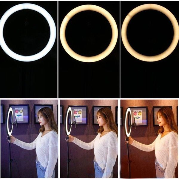 flash heads 12w 2700k-6500k led live ring light studio lights with phone holder and tripod for selfie pograph
flash heads 12w 2700k-6500k led live ring light studio lights with phone holder and tripod for selfie pograph