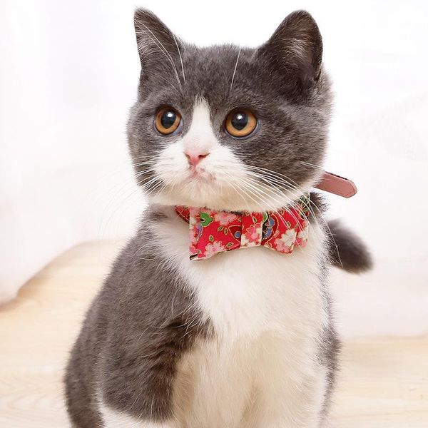 cat collars & leads collar japanese style adjustable buckle pet safety breakaway for puppy kittens necklace supplies
cat collars & leads collar japanese style adjustable buckle pet safety breakaway for puppy kittens necklace supplies