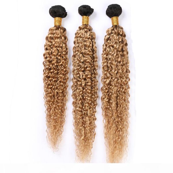 #1b 27 ombre human hair bundles kinky curly malaysian virgin hair weave wefts honey blonde ombre dark root human hair extensions 3pcs lot, Black
#1b 27 ombre human hair bundles kinky curly malaysian virgin hair weave wefts honey blonde ombre dark root human hair extensions 3pcs lot, Black