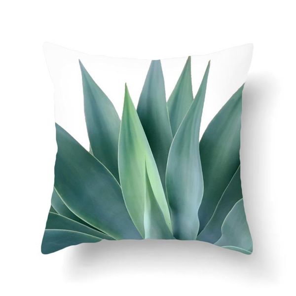 bedroom tropic botany flannelette embrace pillow case northern europe ins sofa pillow case plush back cushion cover
bedroom tropic botany flannelette embrace pillow case northern europe ins sofa pillow case plush back cushion cover