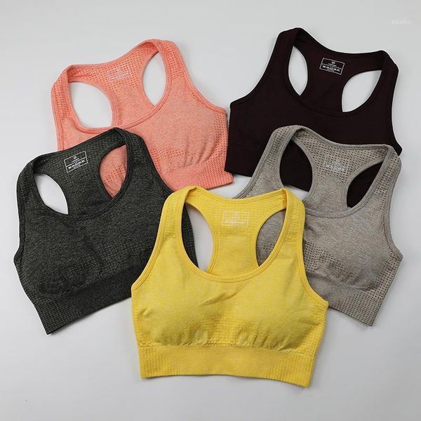 vital seamless sports bra medium support running racerback yoga vest type brassiere sport woman fitness activewear outfit
vital seamless sports bra medium support running racerback yoga vest type brassiere sport woman fitness activewear outfit