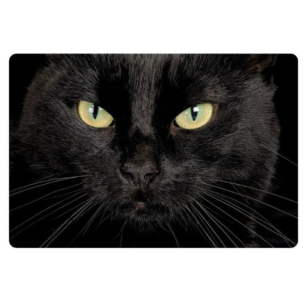 cushion/decorative pillow novelty black cat entrance floor mat funny cats kitten anti slip rubber door cool rug carpet for front kitchen 40*
cushion/decorative pillow novelty black cat entrance floor mat funny cats kitten anti slip rubber door cool rug carpet for front kitchen 40*